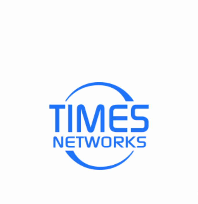 logo TIMES NETWORKING