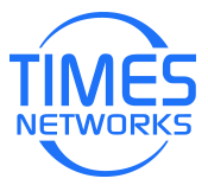 logo TIMES NETWORKING 2