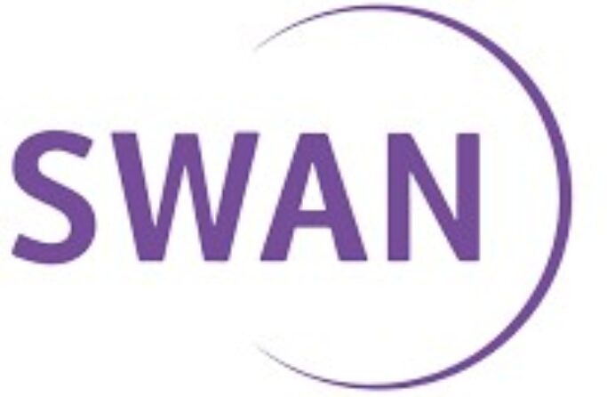 swan 2